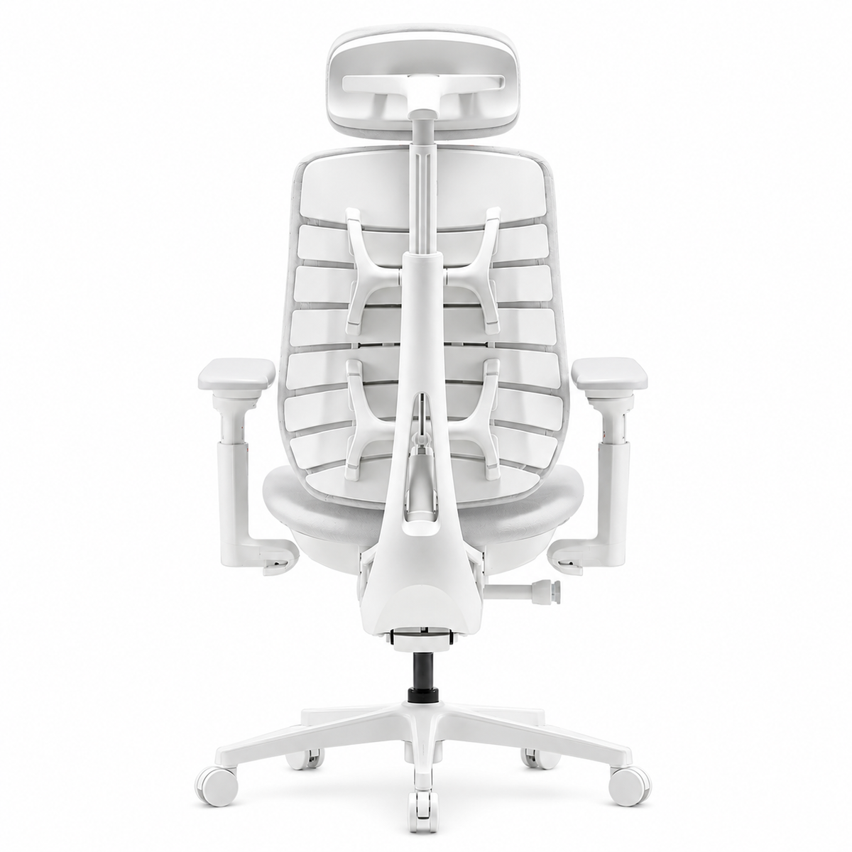 Ergonomic Office Chair