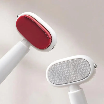 Foot Callus File & Dead Skin Remover