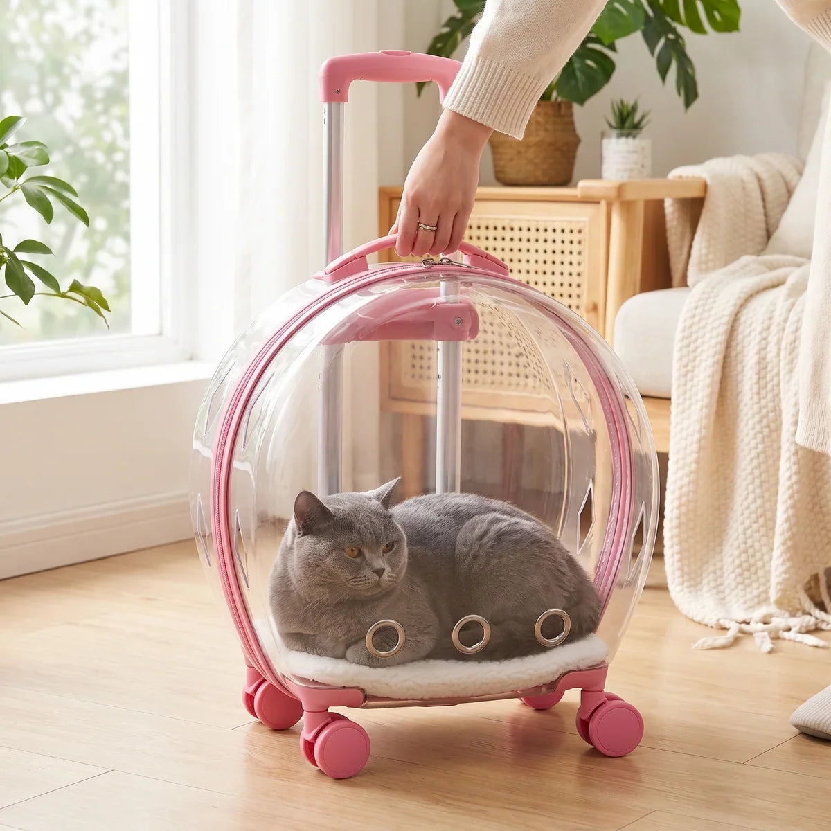 Bubble Pet Travel Trolley